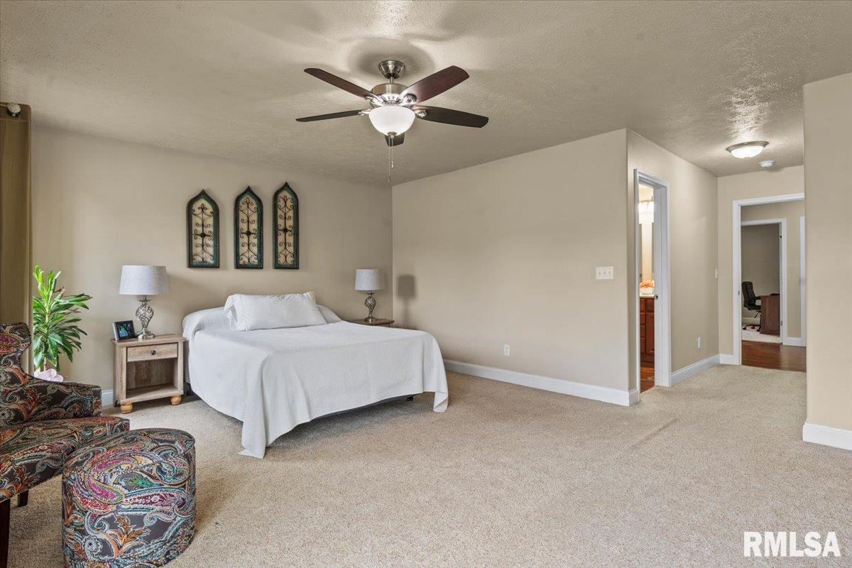 1103 Dina Drive, Riverton, Illinois image 16