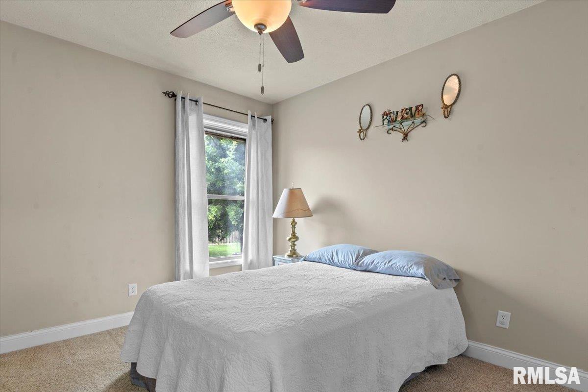 1103 Dina Drive, Riverton, Illinois image 24