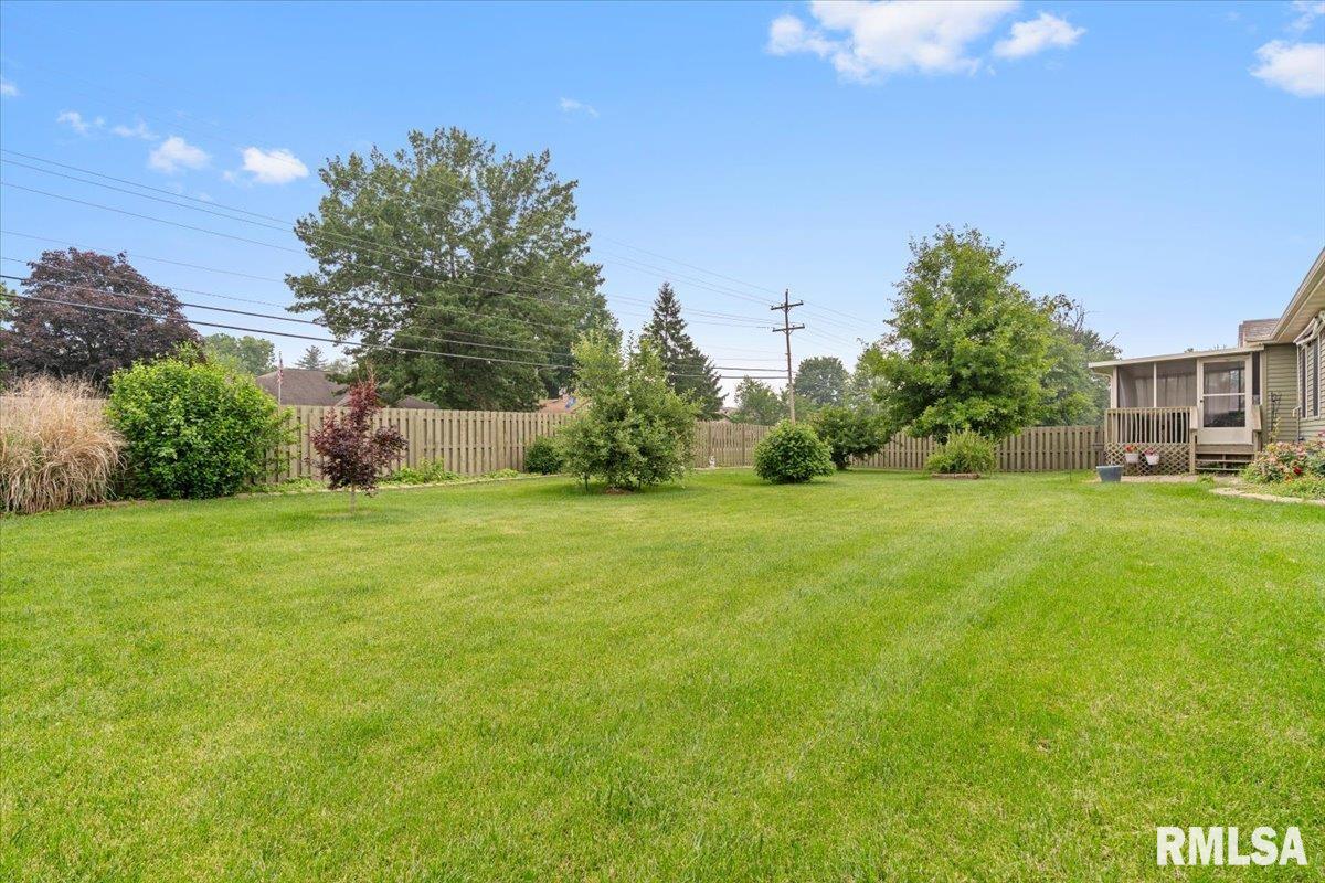 1103 Dina Drive, Riverton, Illinois image 28