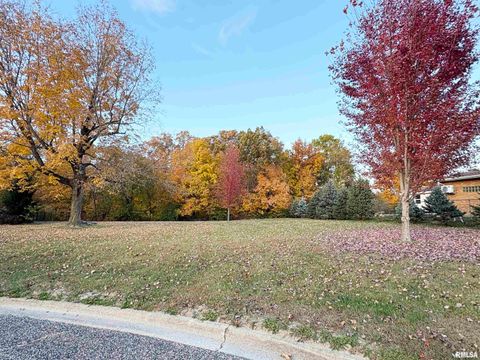 Vacant Land For Sale - 43 Lynnwood Court<br/> Tazewell County, Morton, IL 61550