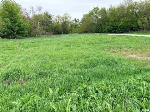 Vacant Land For Sale - 00 N Radnor Road<br/> Peoria County, Peoria, IL 61615