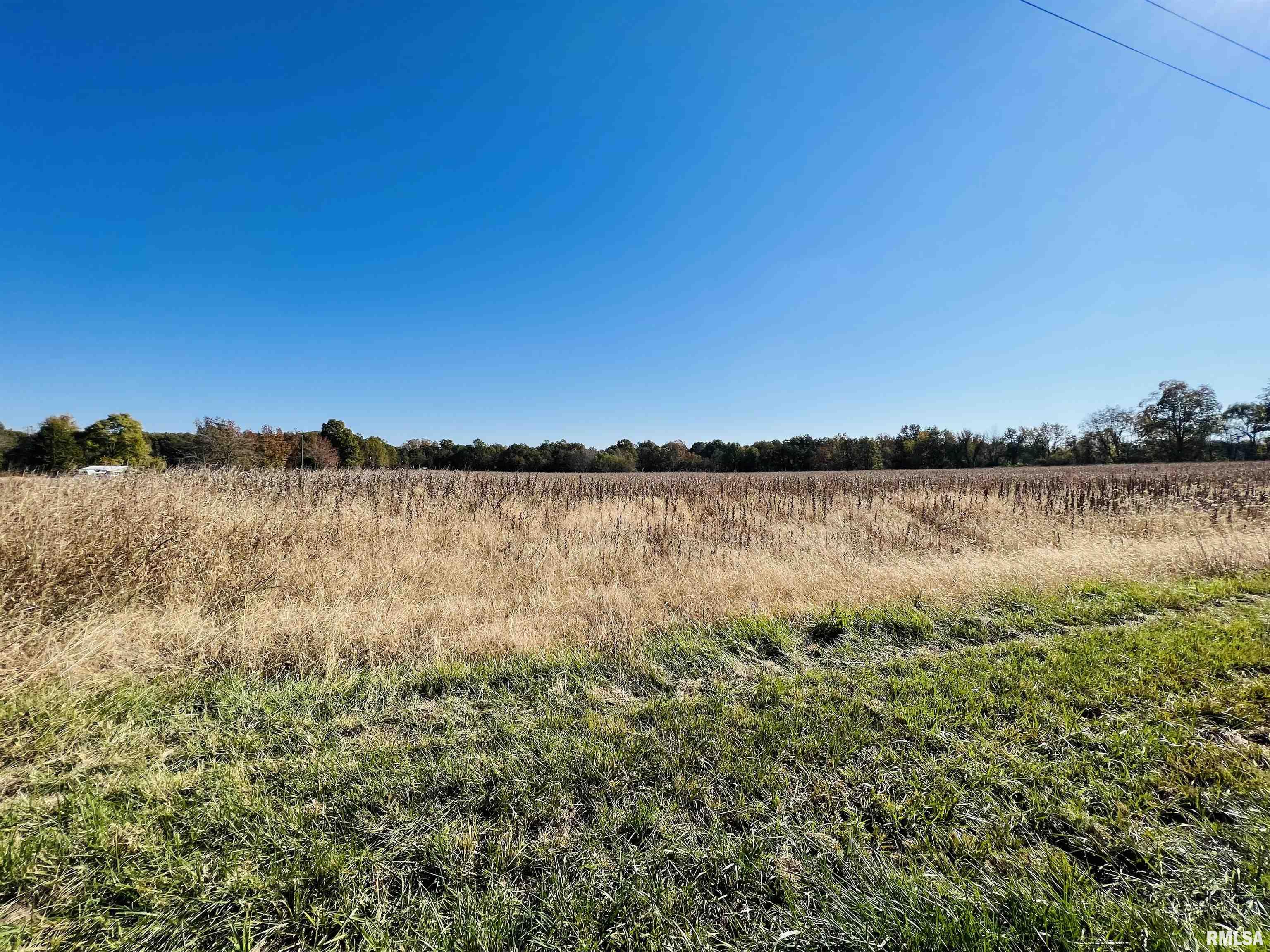 17064 Old Frankfort Road, Johnston City, Illinois image 39