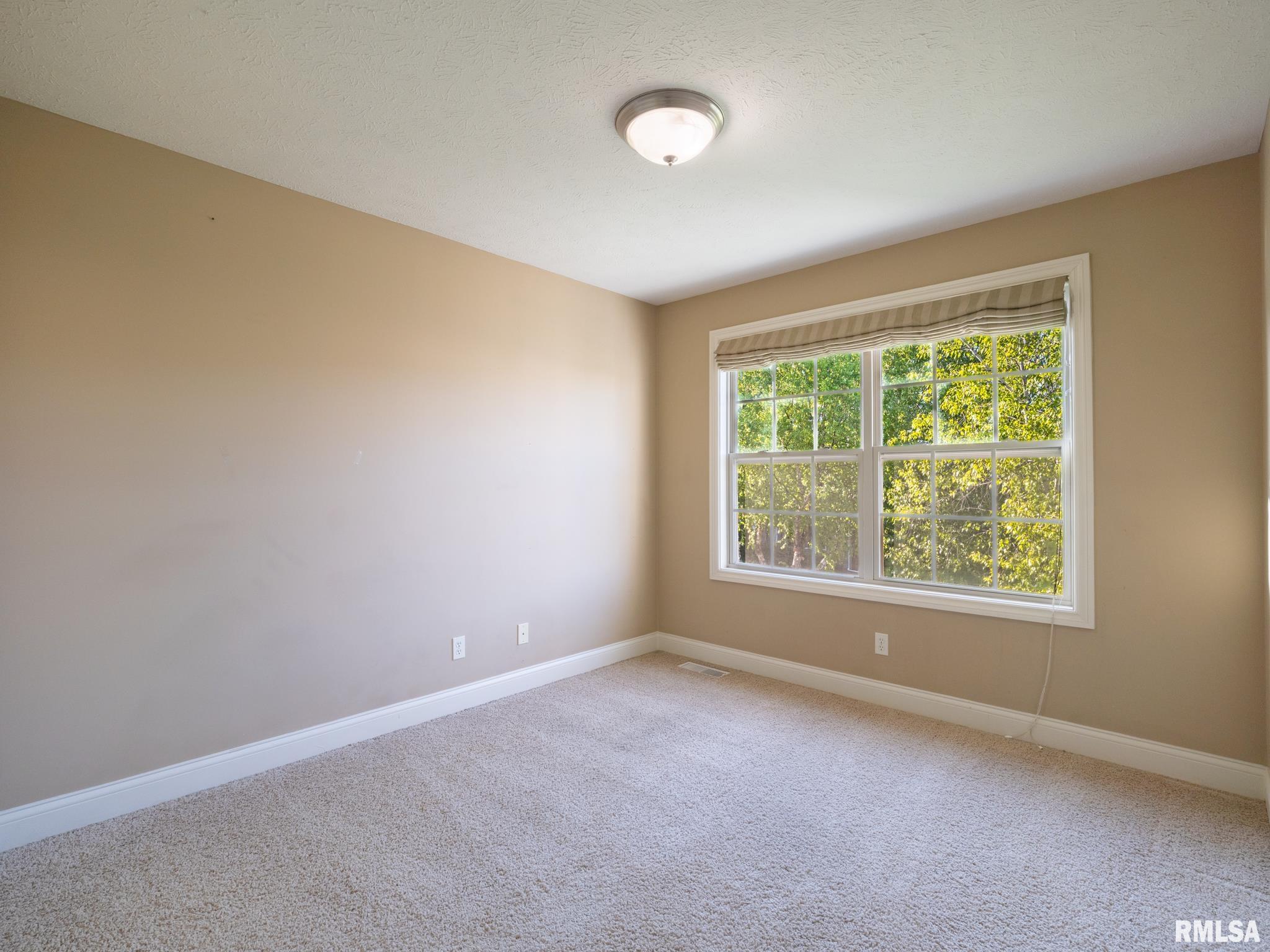 2621 W Carlisle Lane, Dunlap, Illinois image 45