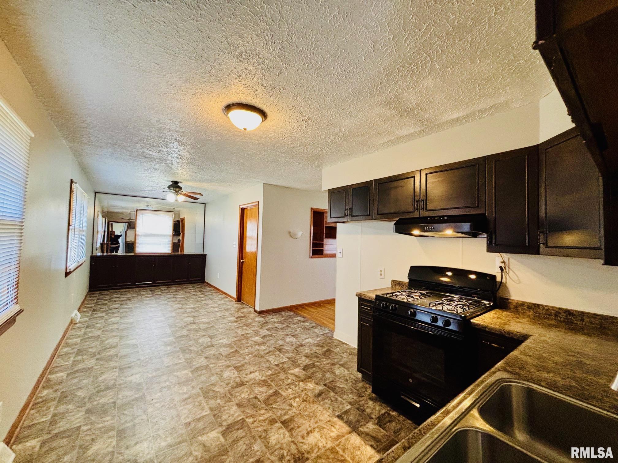2619 W Scenic Drive, Peoria, Illinois image 10
