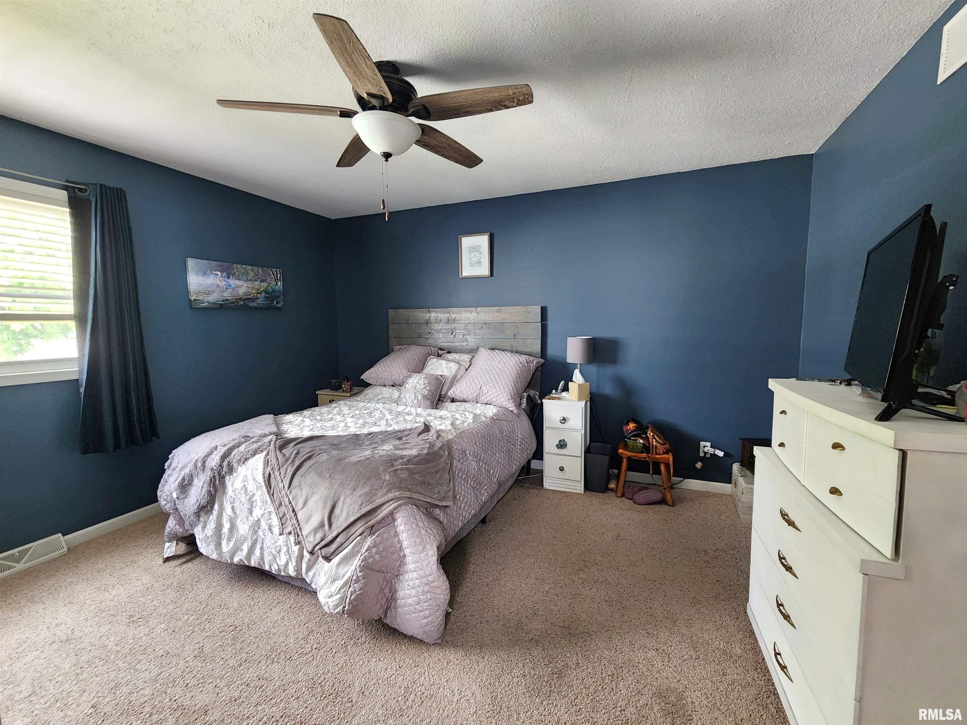 215 N Oakwood Avenue, Geneseo, Illinois image 10