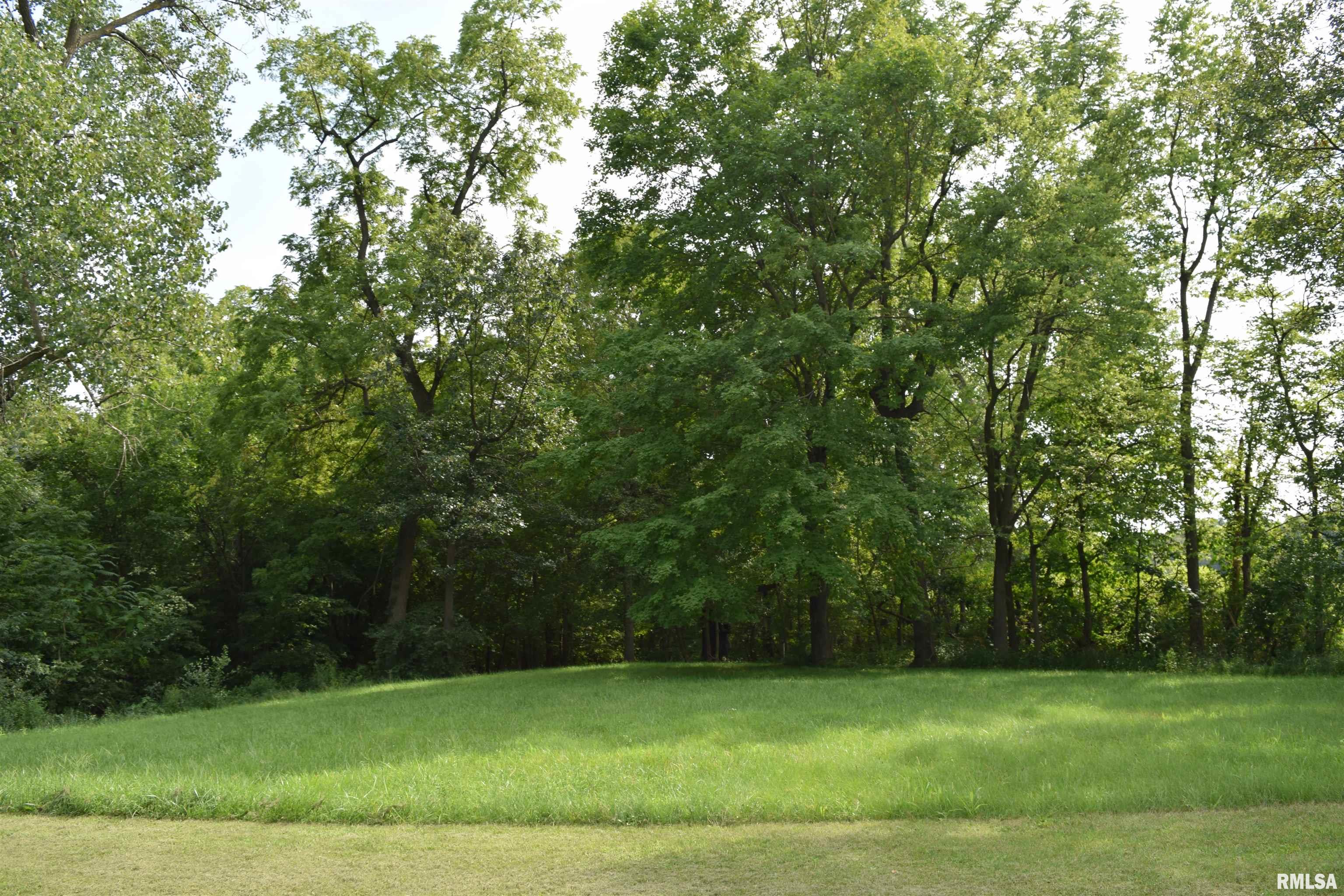 Lot 11 Fawn Ridge Lane, Mapleton, Illinois image 1