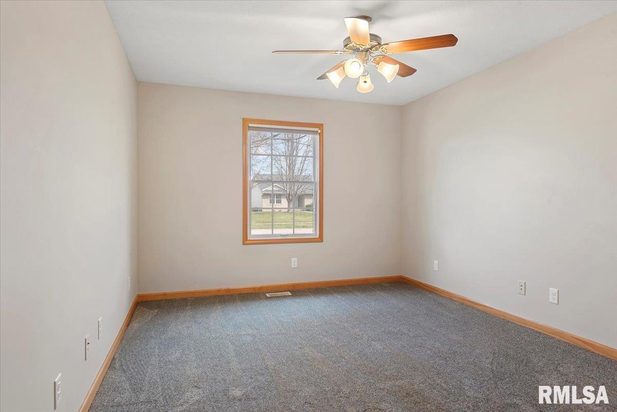 318 Osteen Lane, Chatham, Illinois image 27