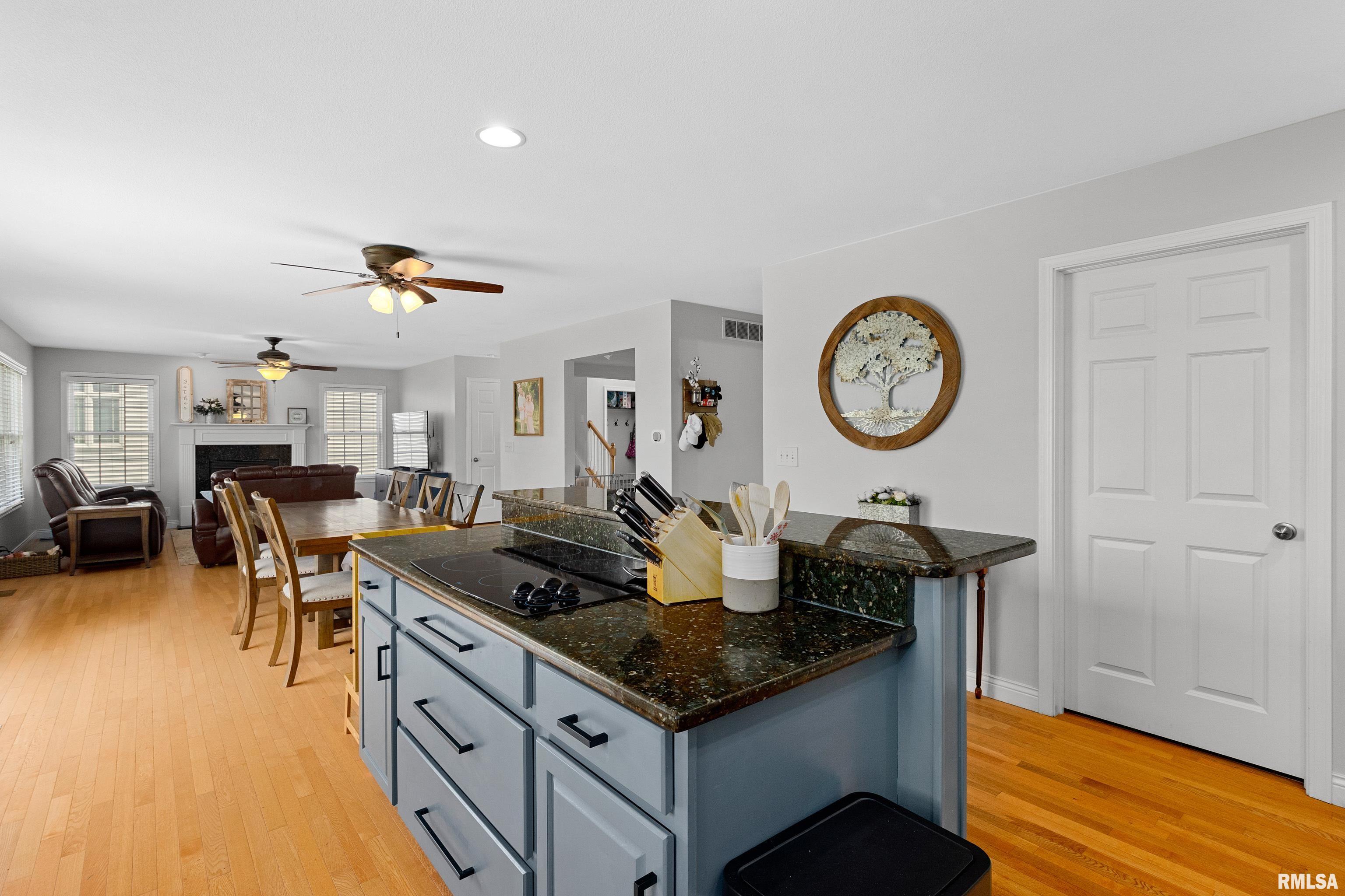 1509 Kelsey Street, Washington, Illinois image 17