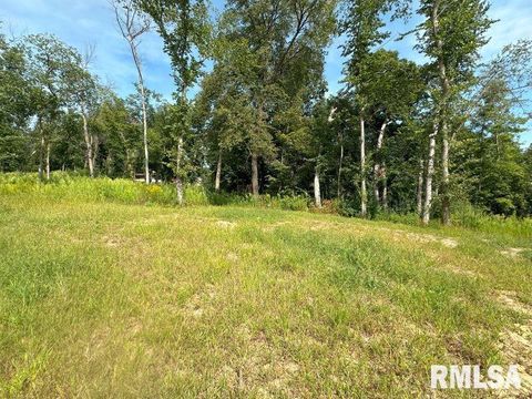 Photo of 2 225TH Street, De Witt, IA 52742 (MLS # QC4250309)