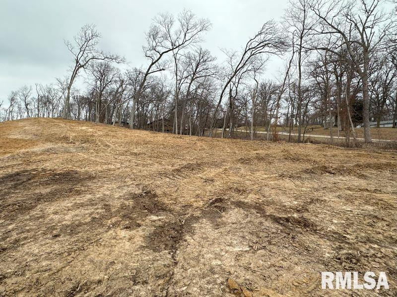 Lot 2 225th Street, De Witt, Iowa image 3