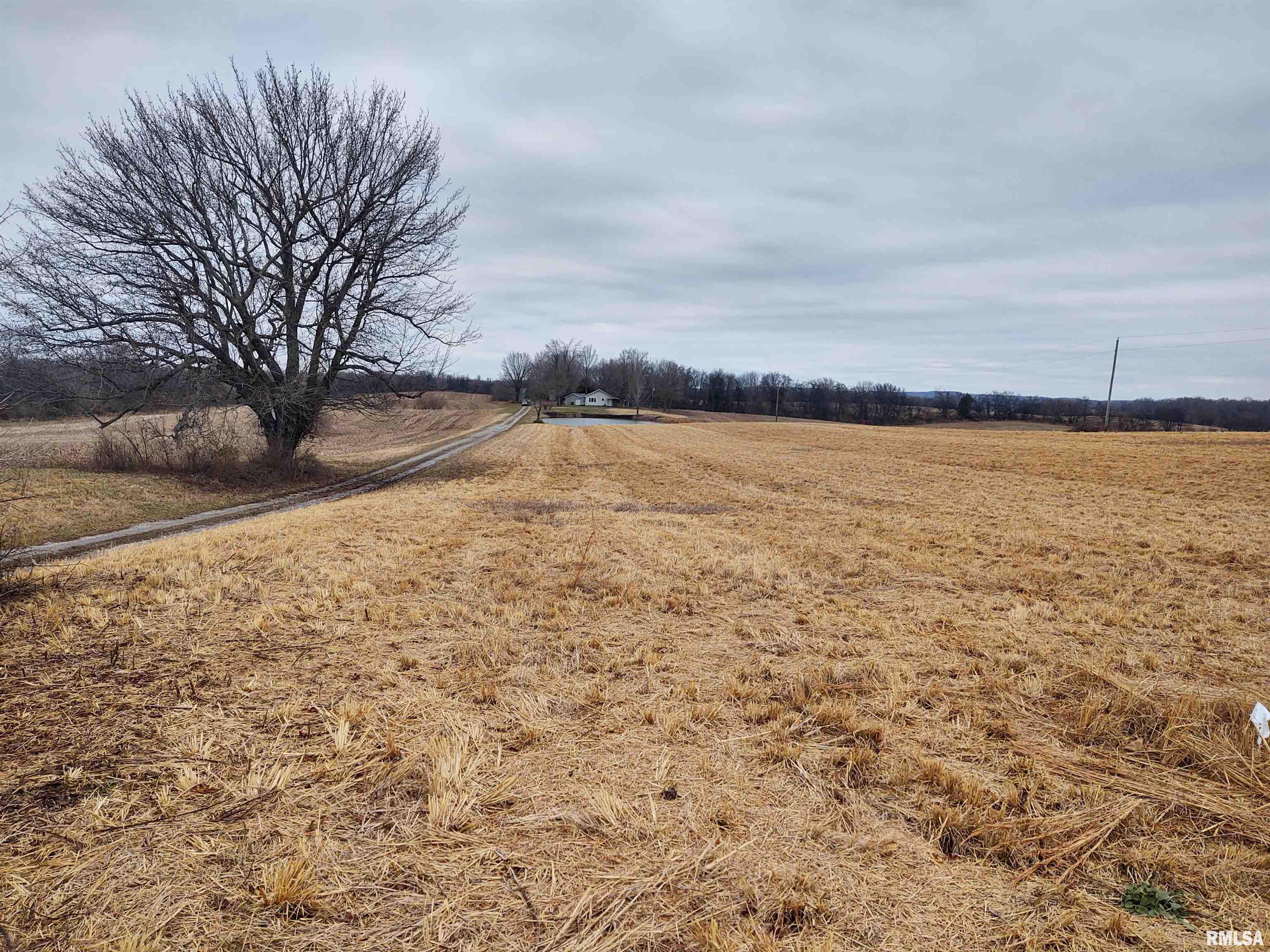 8027 Shawnee College Road, Ullin, Illinois image 3