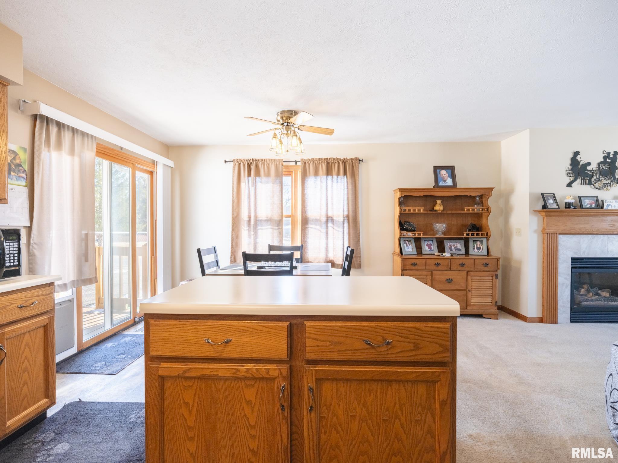 401 Morton Street, Creve Coeur, Illinois image 16