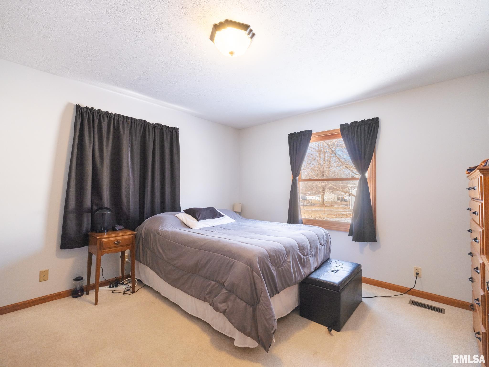 401 Morton Street, Creve Coeur, Illinois image 35