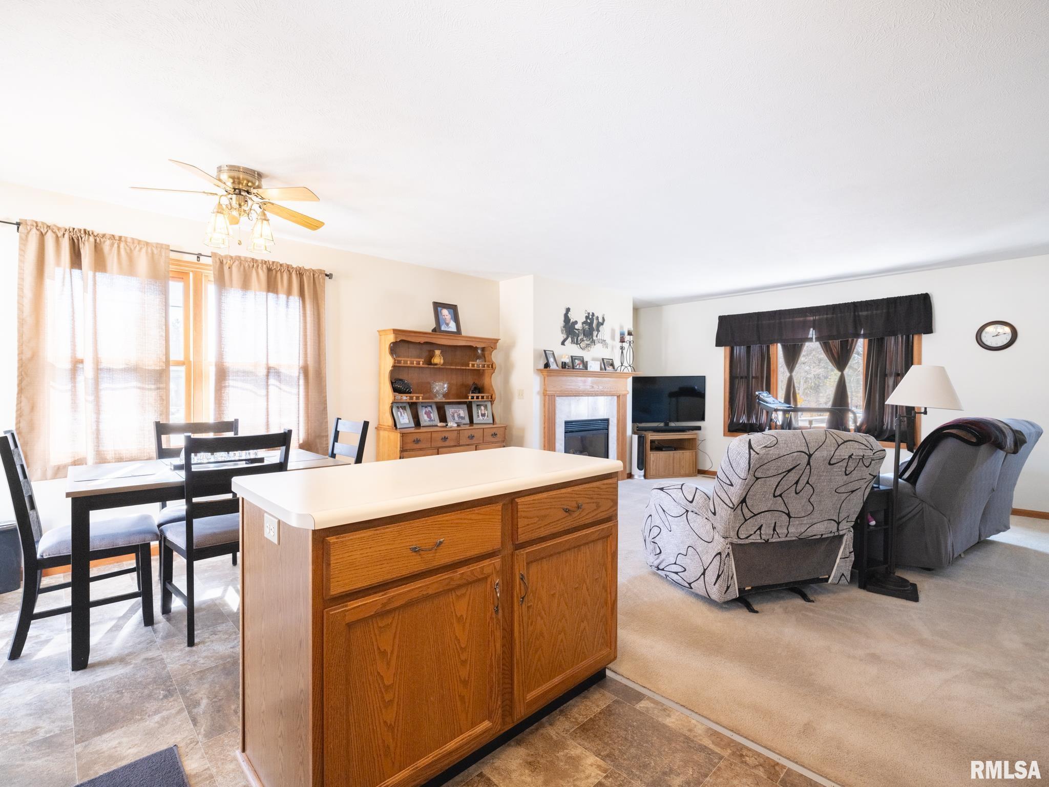 401 Morton Street, Creve Coeur, Illinois image 10