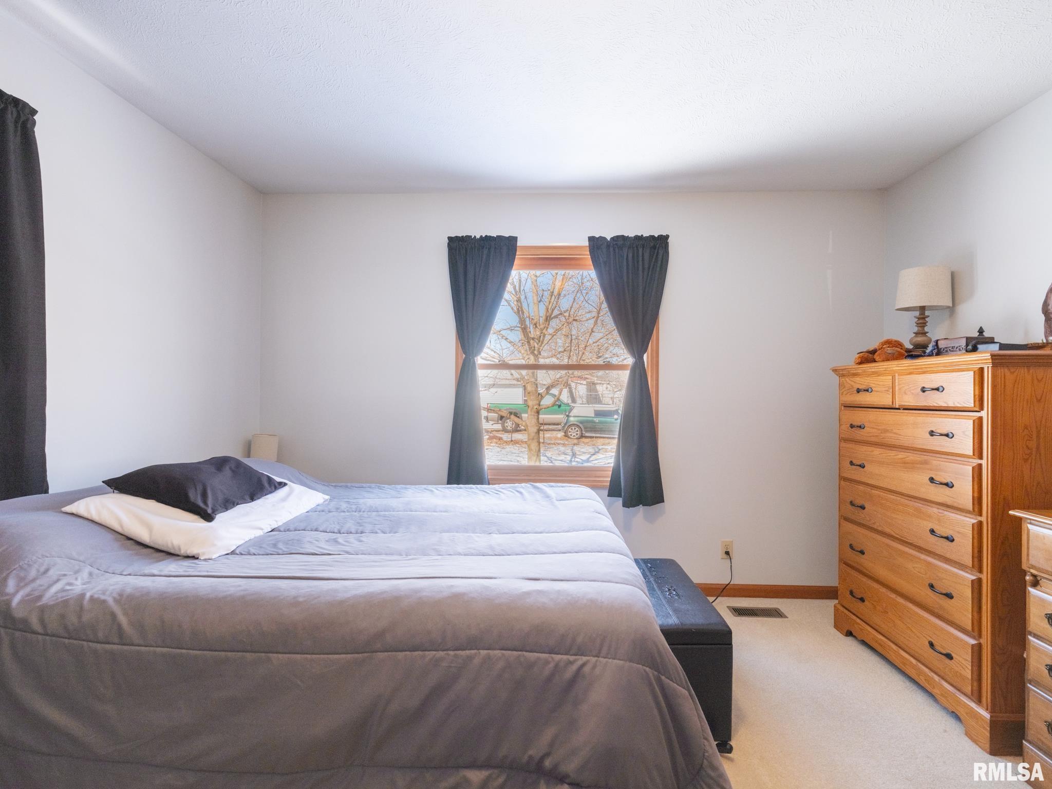401 Morton Street, Creve Coeur, Illinois image 36