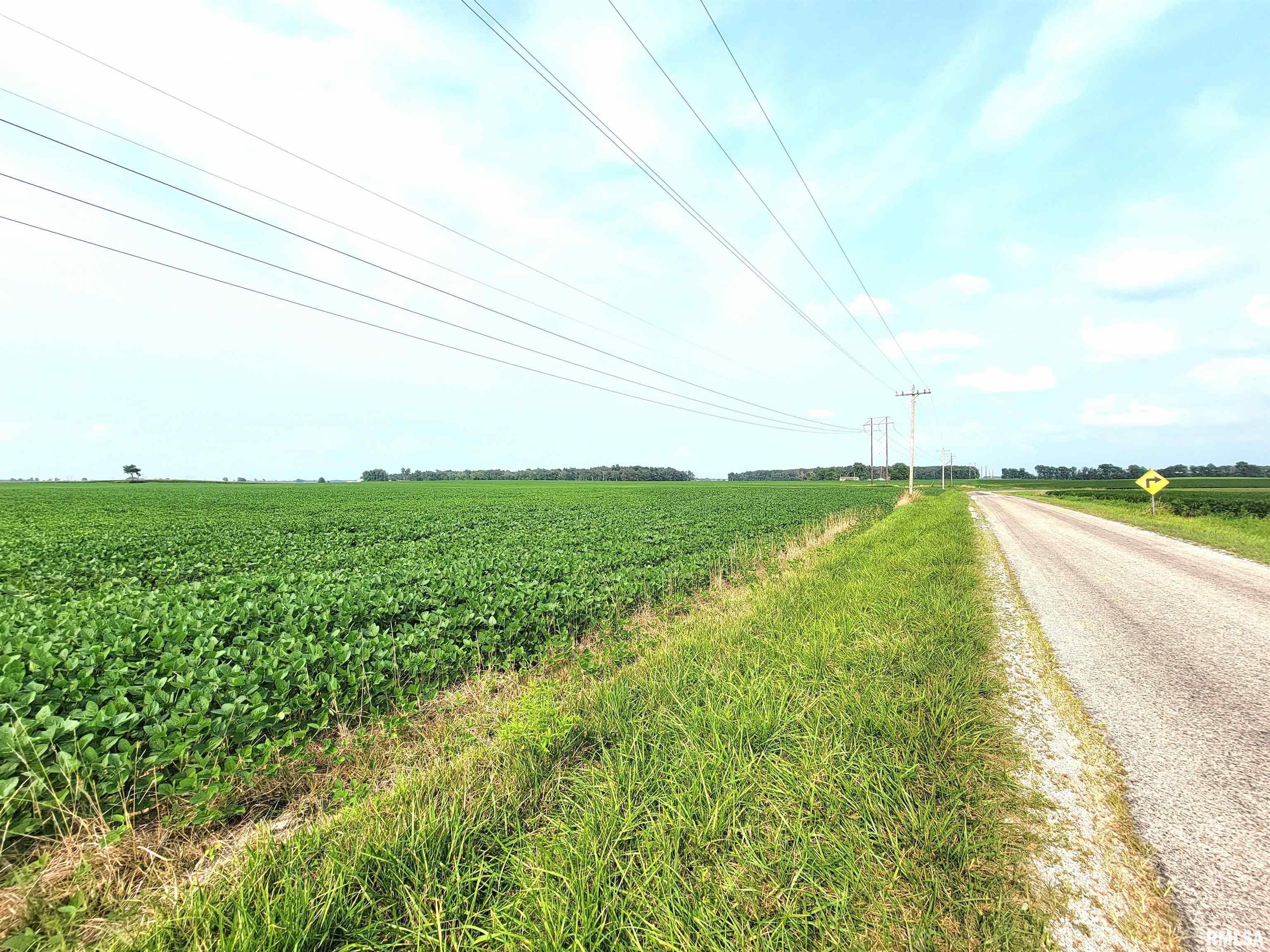 Gravel Lane, Louisville, Illinois image 4