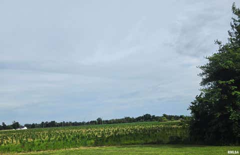 Vacant Land For Sale - 000 Neilson Road<br/> West Frankfort, IL 62959