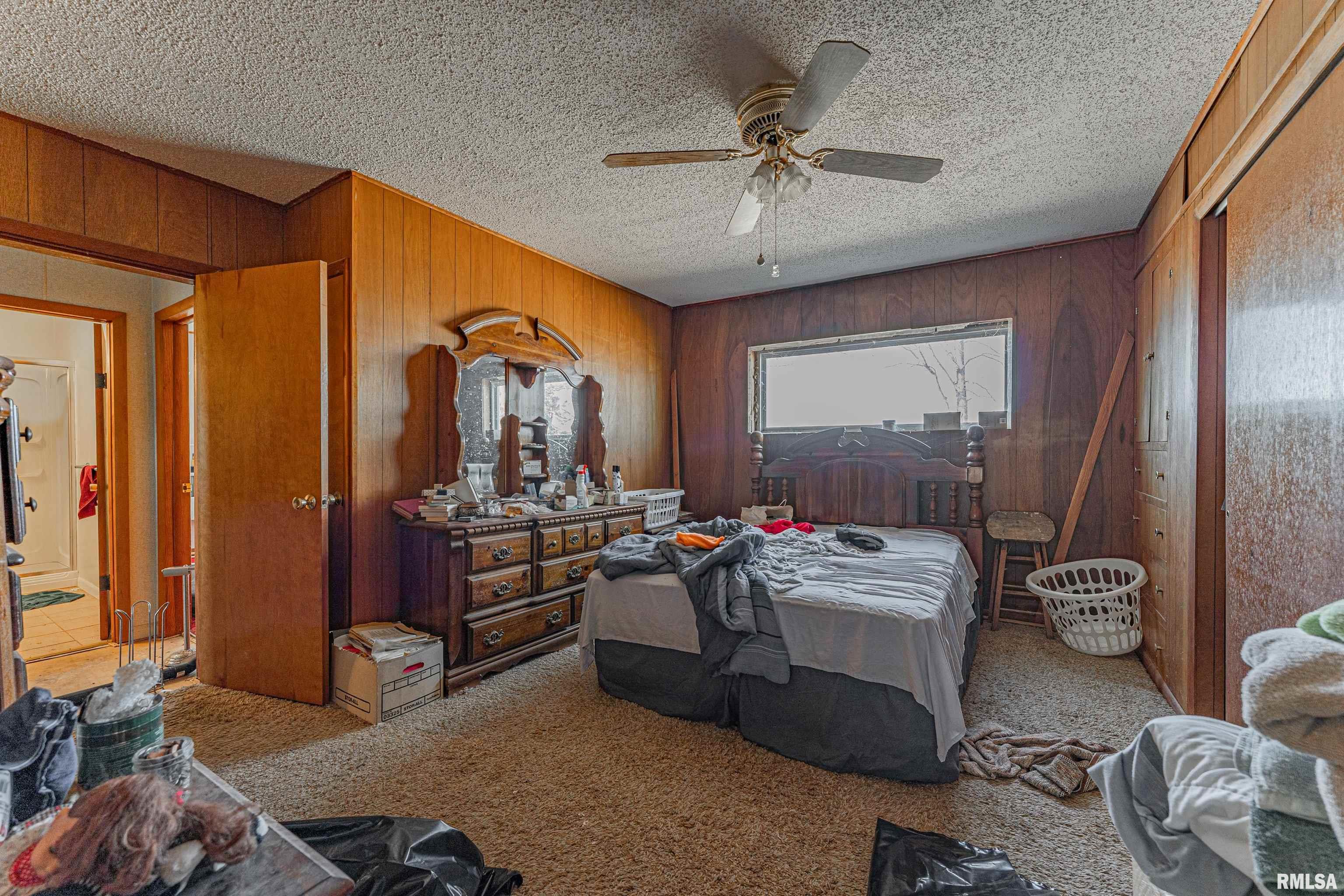 297 2400 Avenue, Latham, Illinois image 15