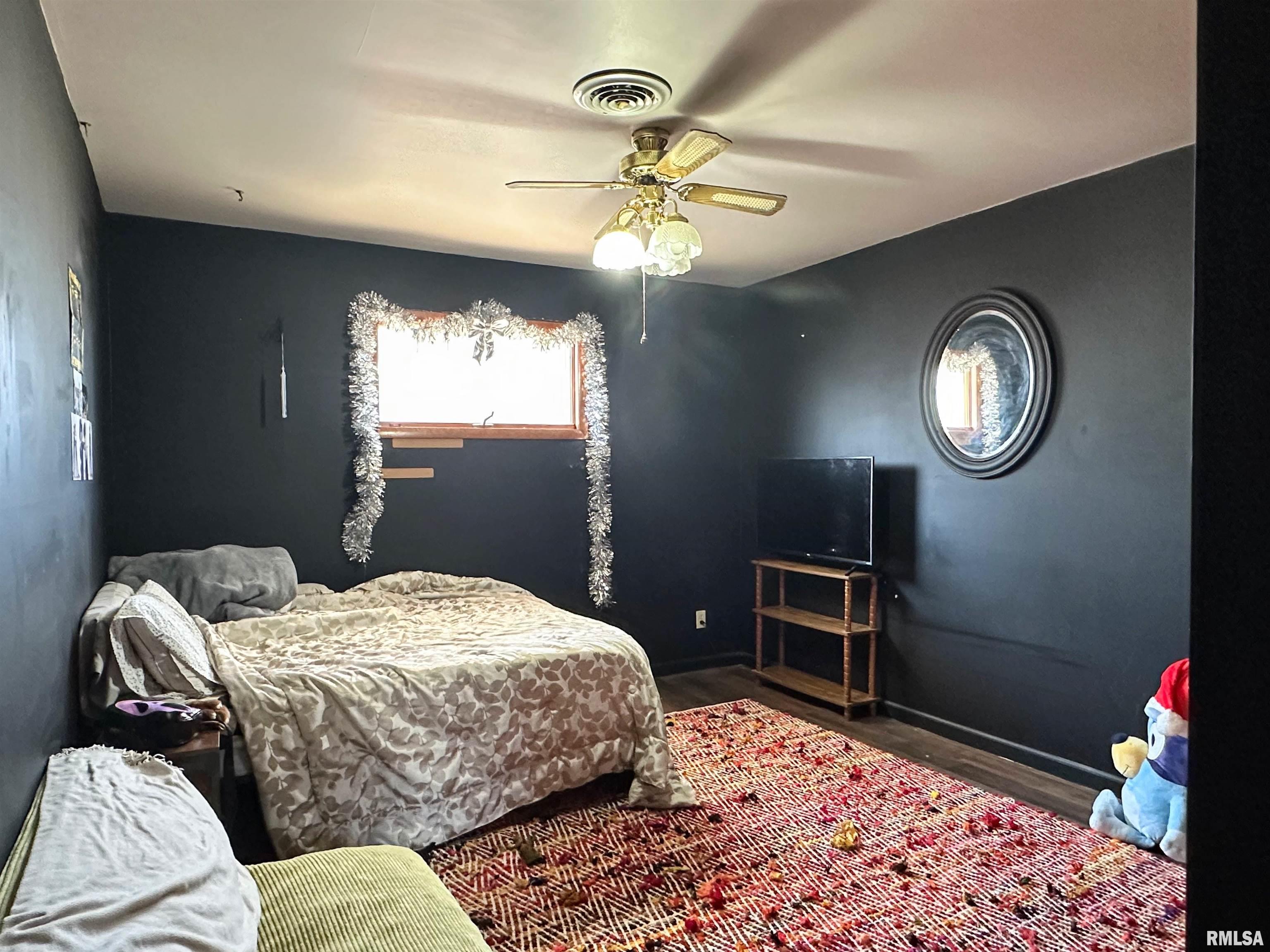 308 S East Street, Pinckneyville, Illinois image 27