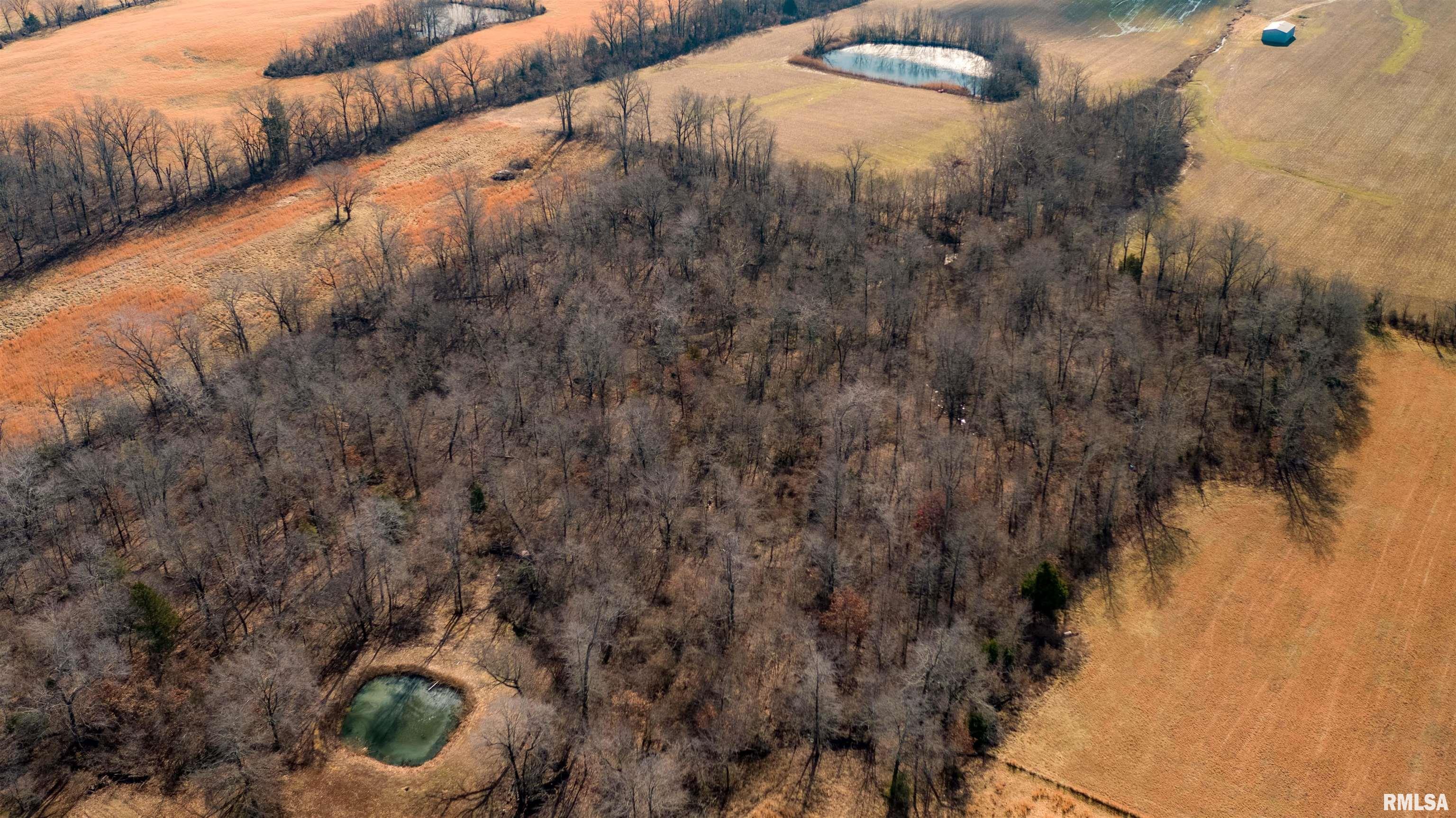 12855 Cleveland Lane, Pittsburg, Illinois image 27