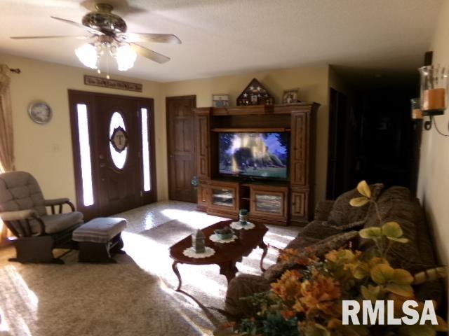 2225 Route 34 Route, Rosiclare, Illinois image 7