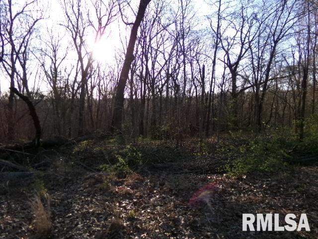 2225 Route 34 Route, Rosiclare, Illinois image 37