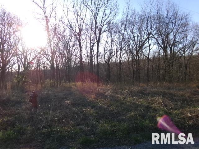 2225 Route 34 Route, Rosiclare, Illinois image 33