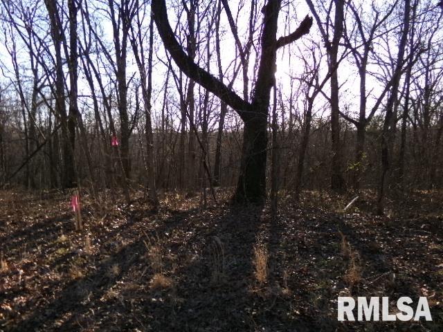 2225 Route 34 Route, Rosiclare, Illinois image 50