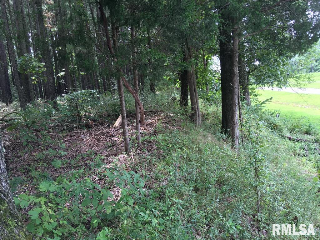 Lot 287 Parrish Ridge Lane, Goreville, Illinois image 9