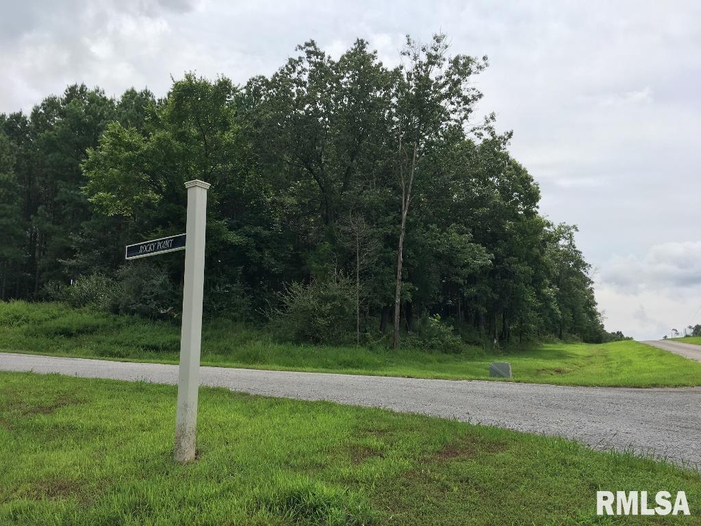 Lot 287 Parrish Ridge Lane, Goreville, Illinois image 13