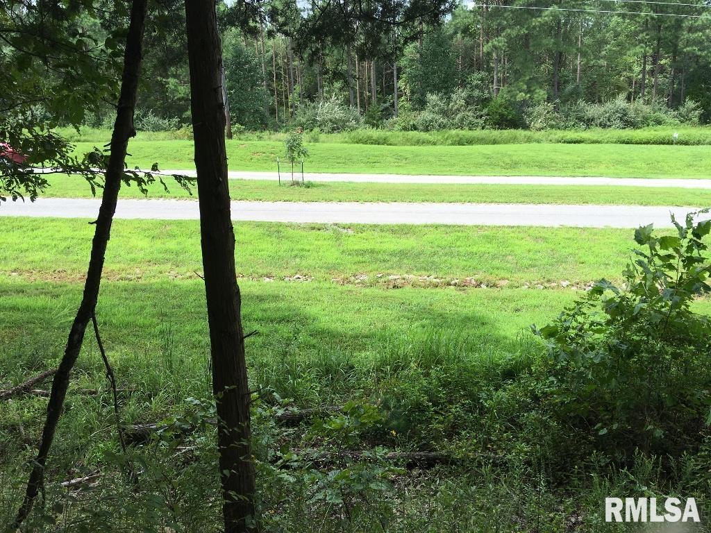 Lot 287 Parrish Ridge Lane, Goreville, Illinois image 11