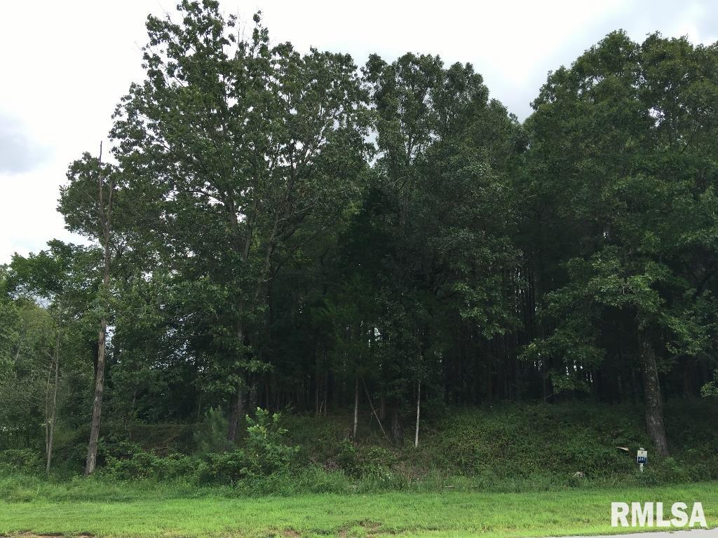 Lot 287 Parrish Ridge Lane, Goreville, Illinois image 1