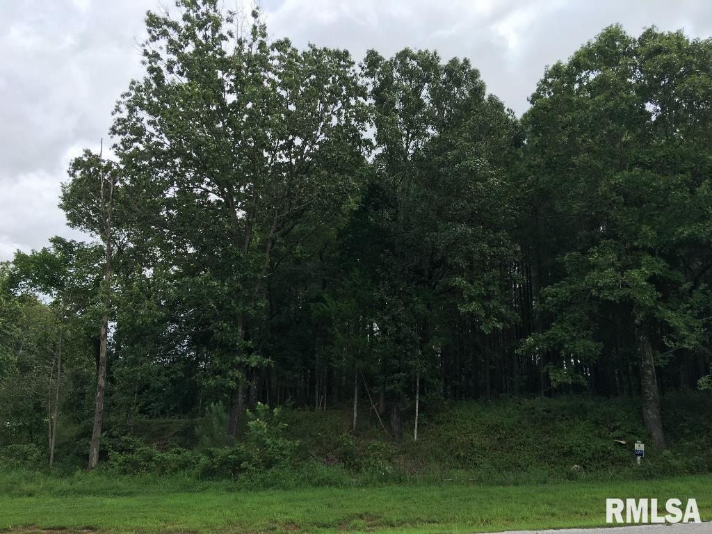 Lot 287 Parrish Ridge Lane, Goreville, Illinois image 15