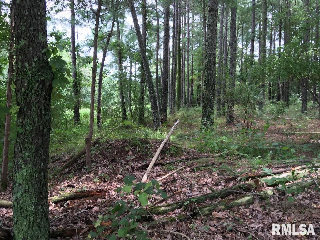 Lot 287 Parrish Ridge Lane, Goreville, Illinois image 7