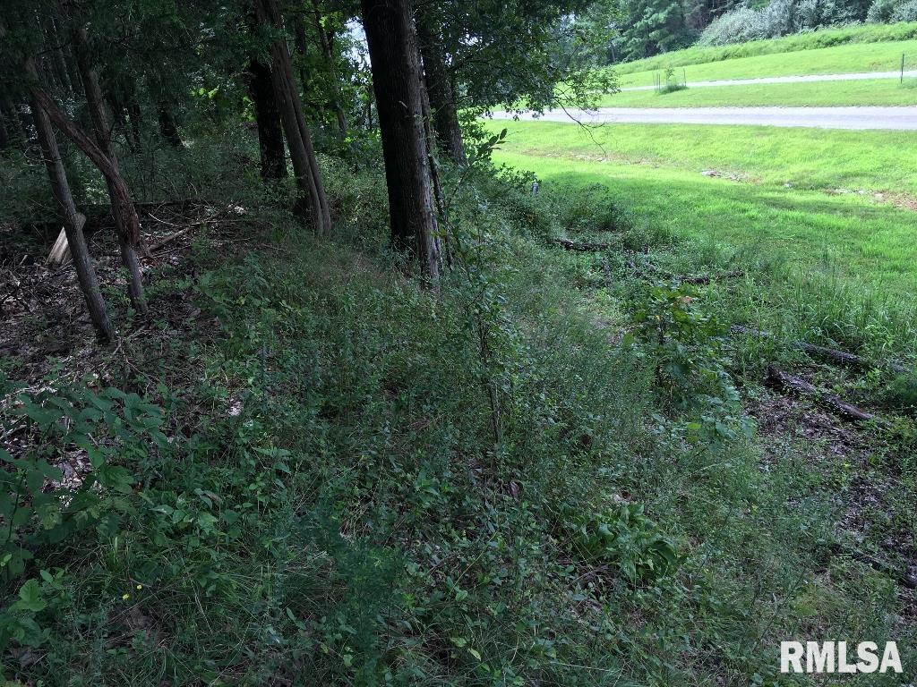 Lot 287 Parrish Ridge Lane, Goreville, Illinois image 12