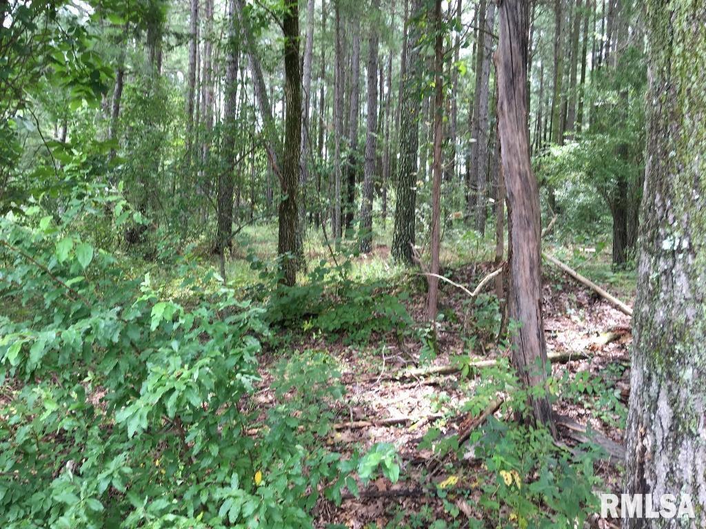 Lot 287 Parrish Ridge Lane, Goreville, Illinois image 5