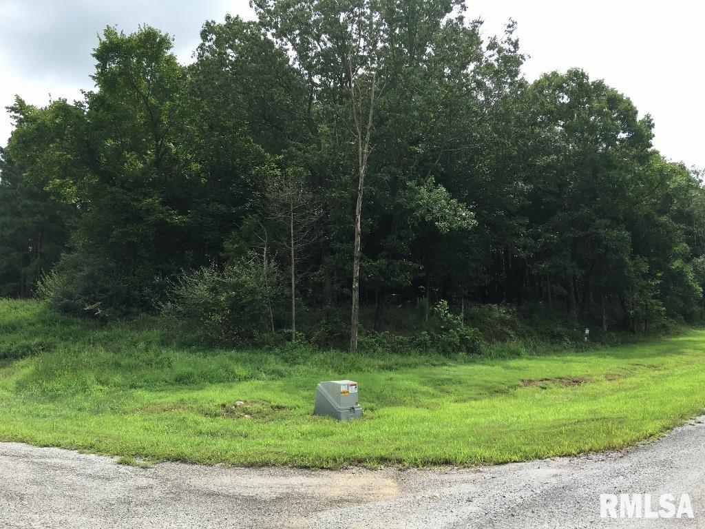 Lot 287 Parrish Ridge Lane, Goreville, Illinois image 2