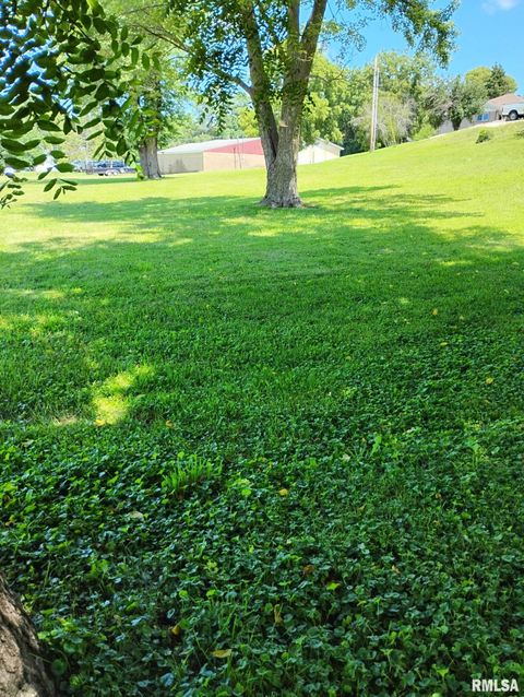 Vacant Land For Sale - 351 S Avenue D<br/> Canton, IL 61520