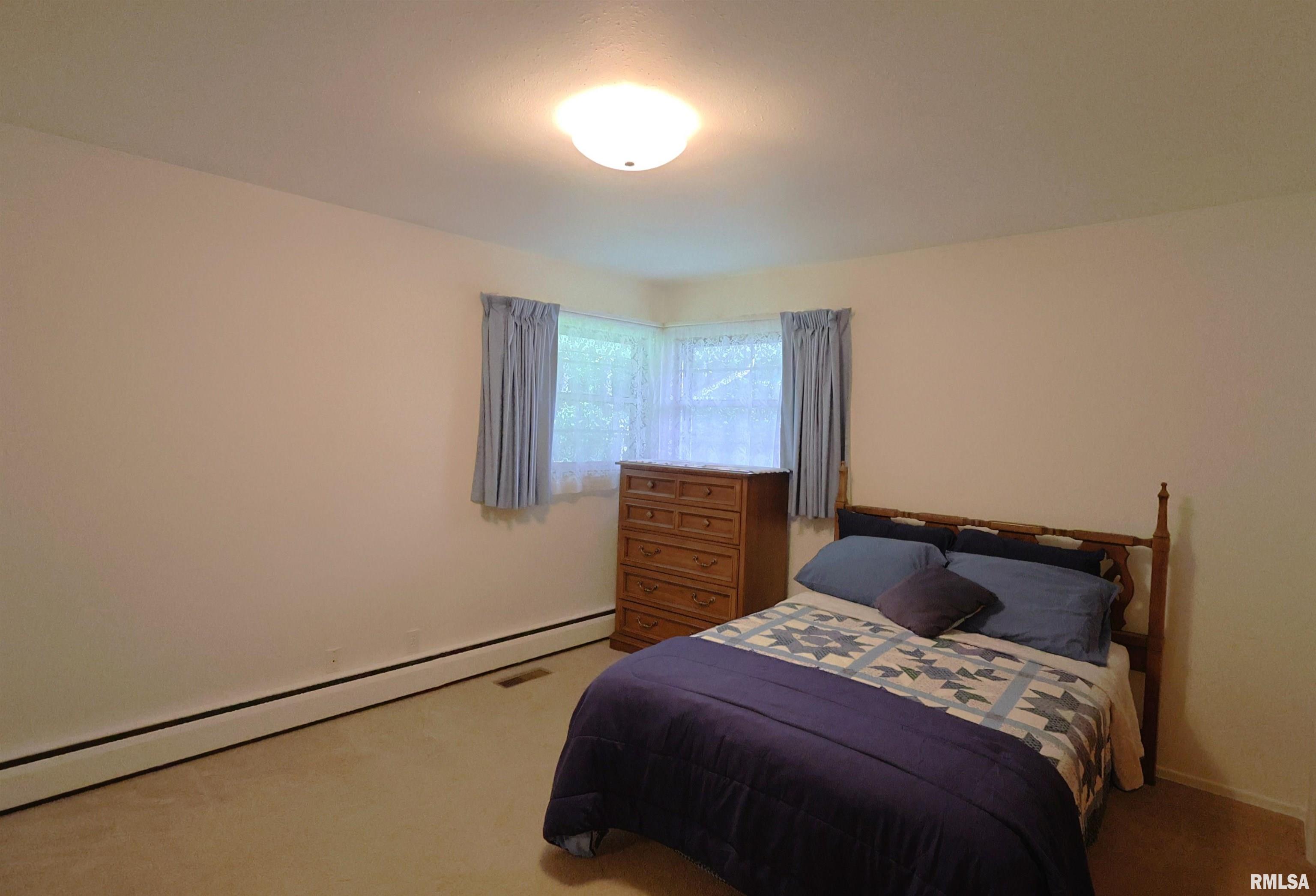 914 Meadow Lane, Salem, Illinois image 14