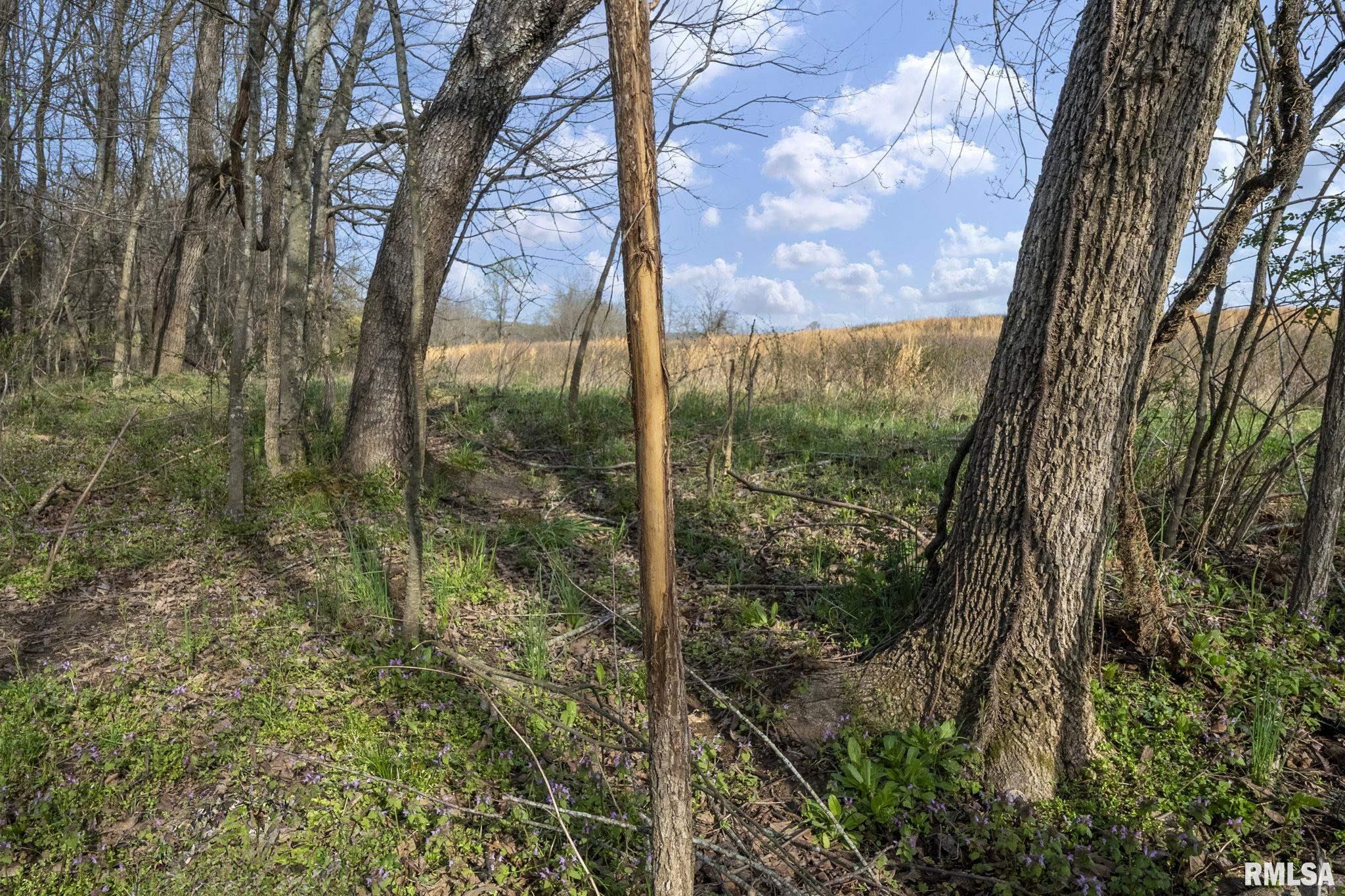 60 Harris Lane, Brookport, Illinois image 15