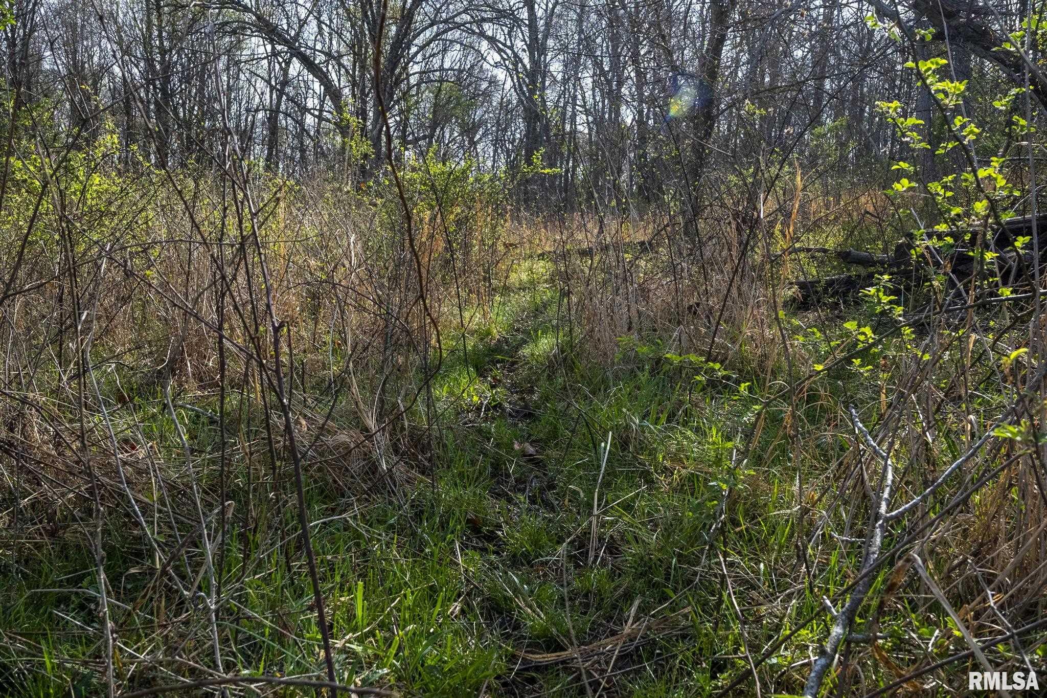 60 Harris Lane, Brookport, Illinois image 8