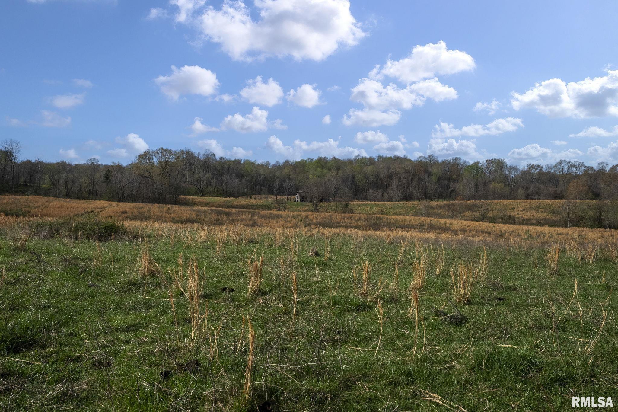 60 Harris Lane, Brookport, Illinois image 16