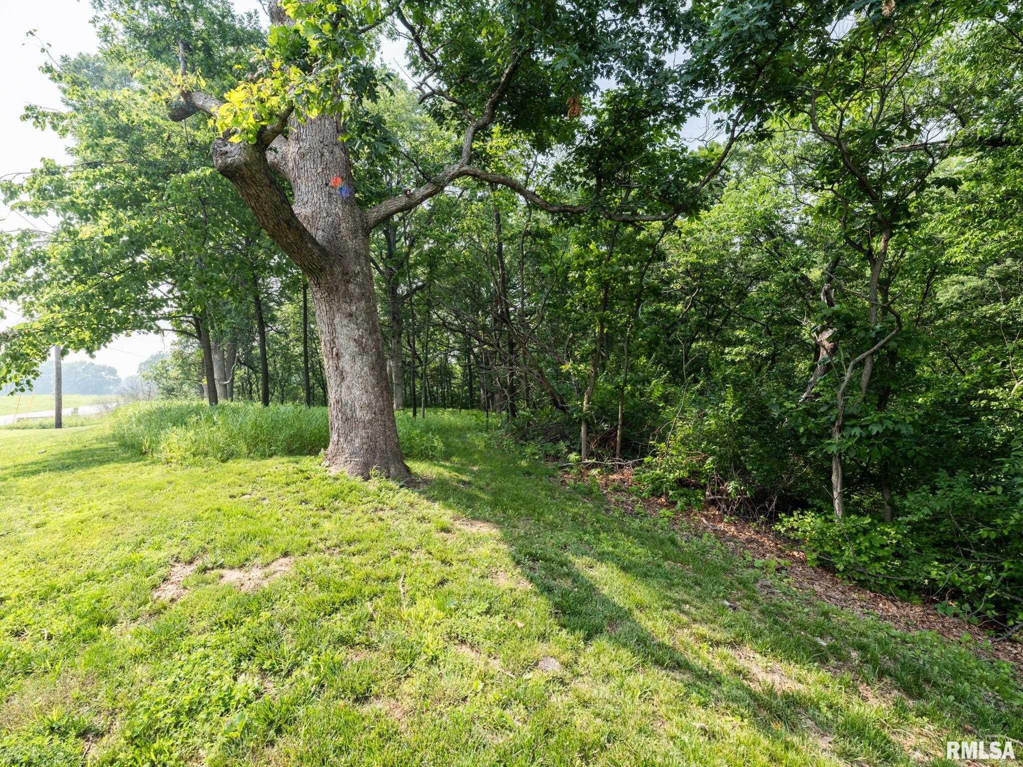 3041 Zion Oaks Road, Pekin, Illinois image 4