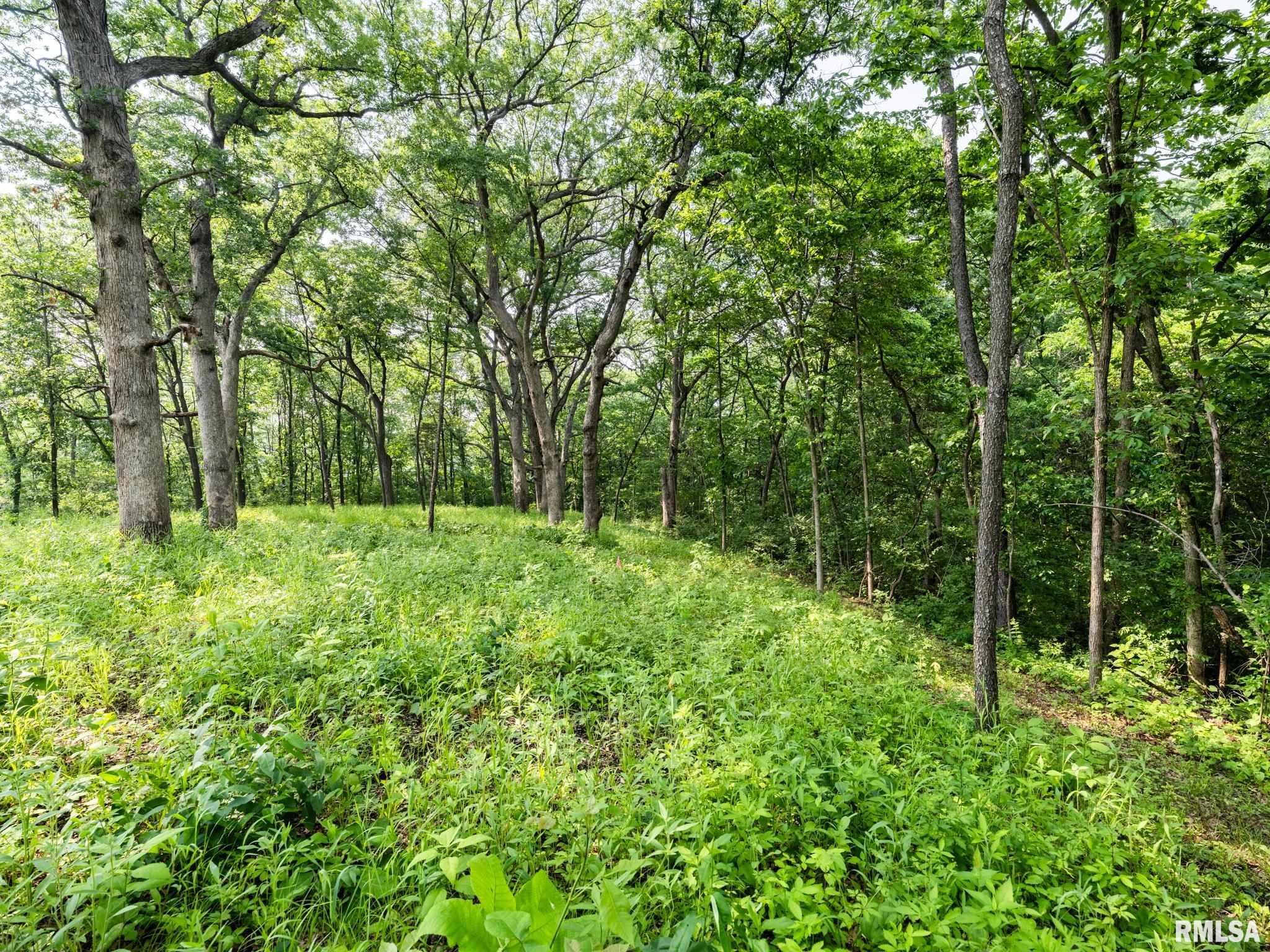 3041 Zion Oaks Road, Pekin, Illinois image 11