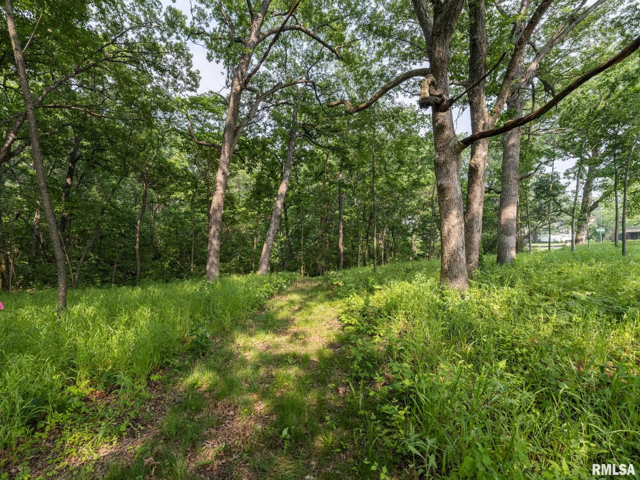 3041 Zion Oaks Road, Pekin, Illinois image 10