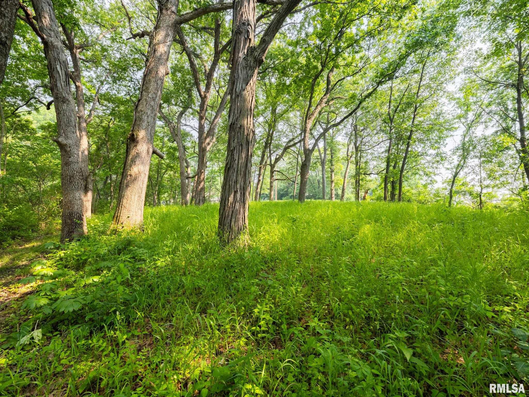 3041 Zion Oaks Road, Pekin, Illinois image 5