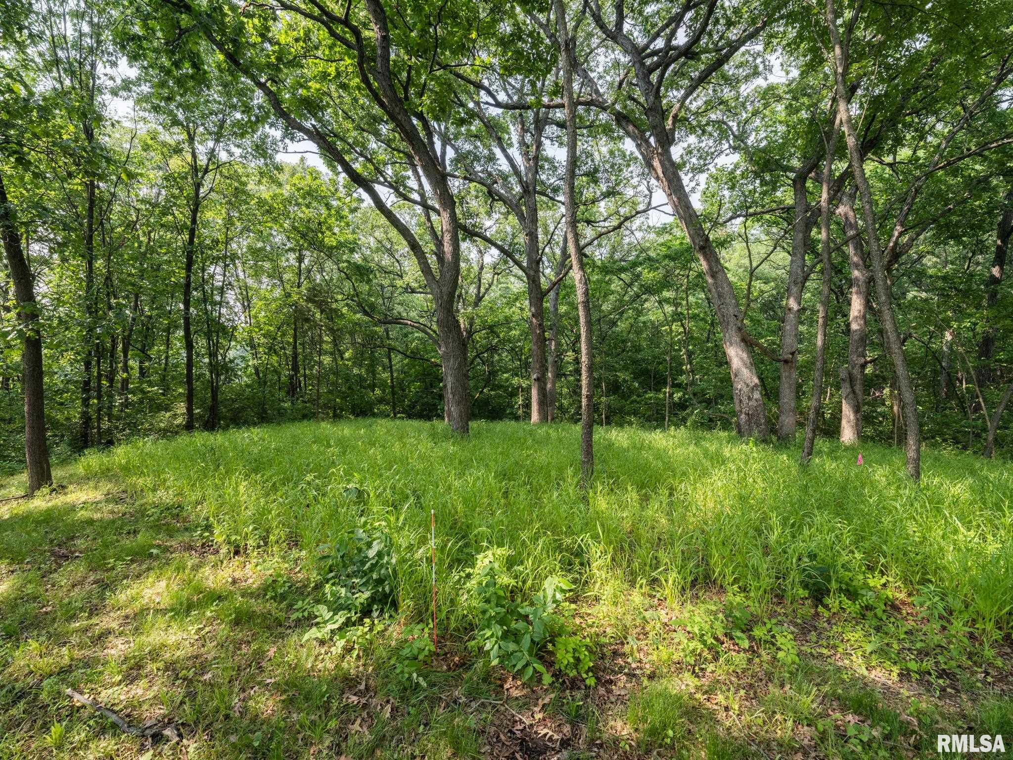 3041 Zion Oaks Road, Pekin, Illinois image 15