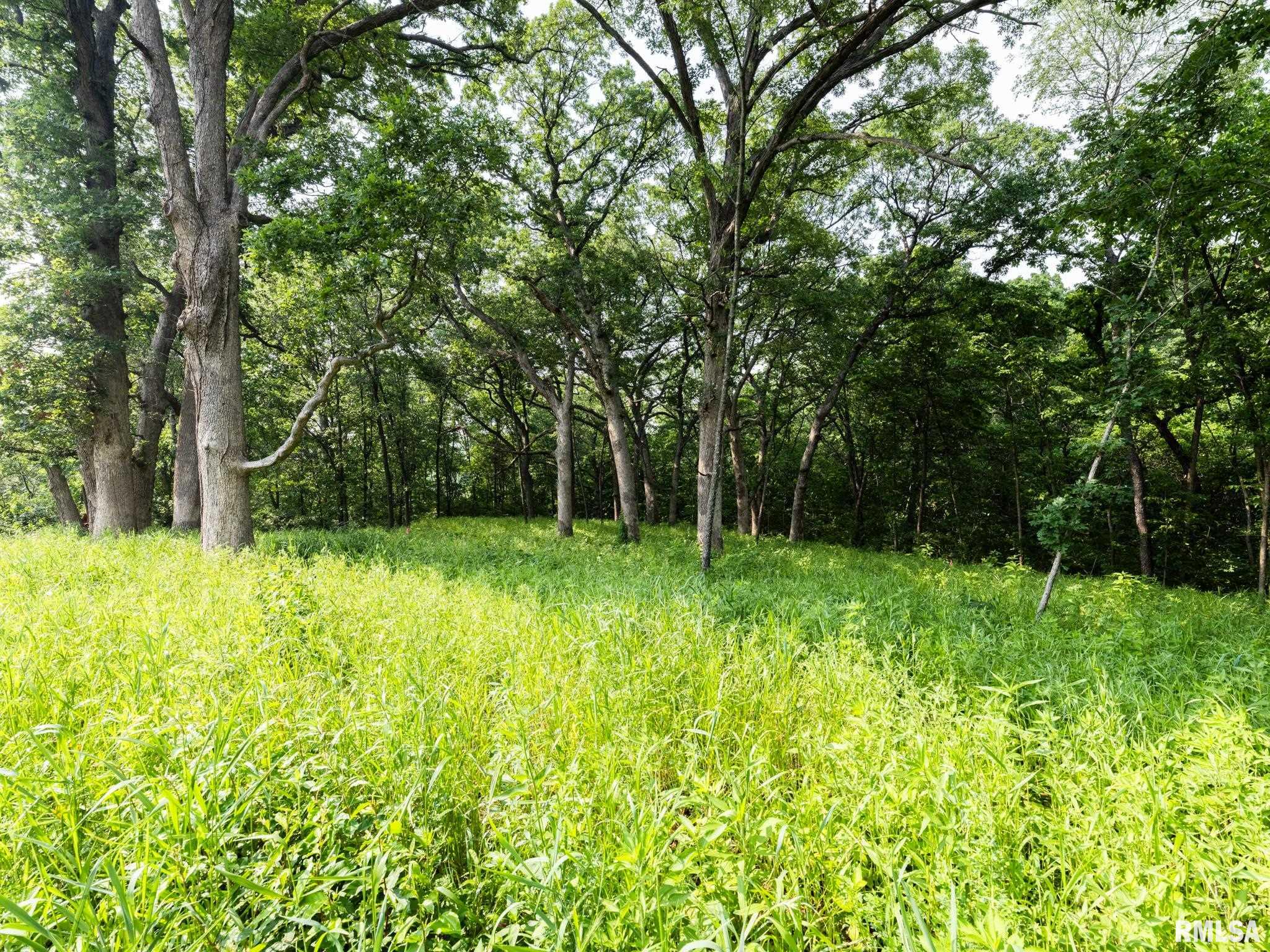3041 Zion Oaks Road, Pekin, Illinois image 7