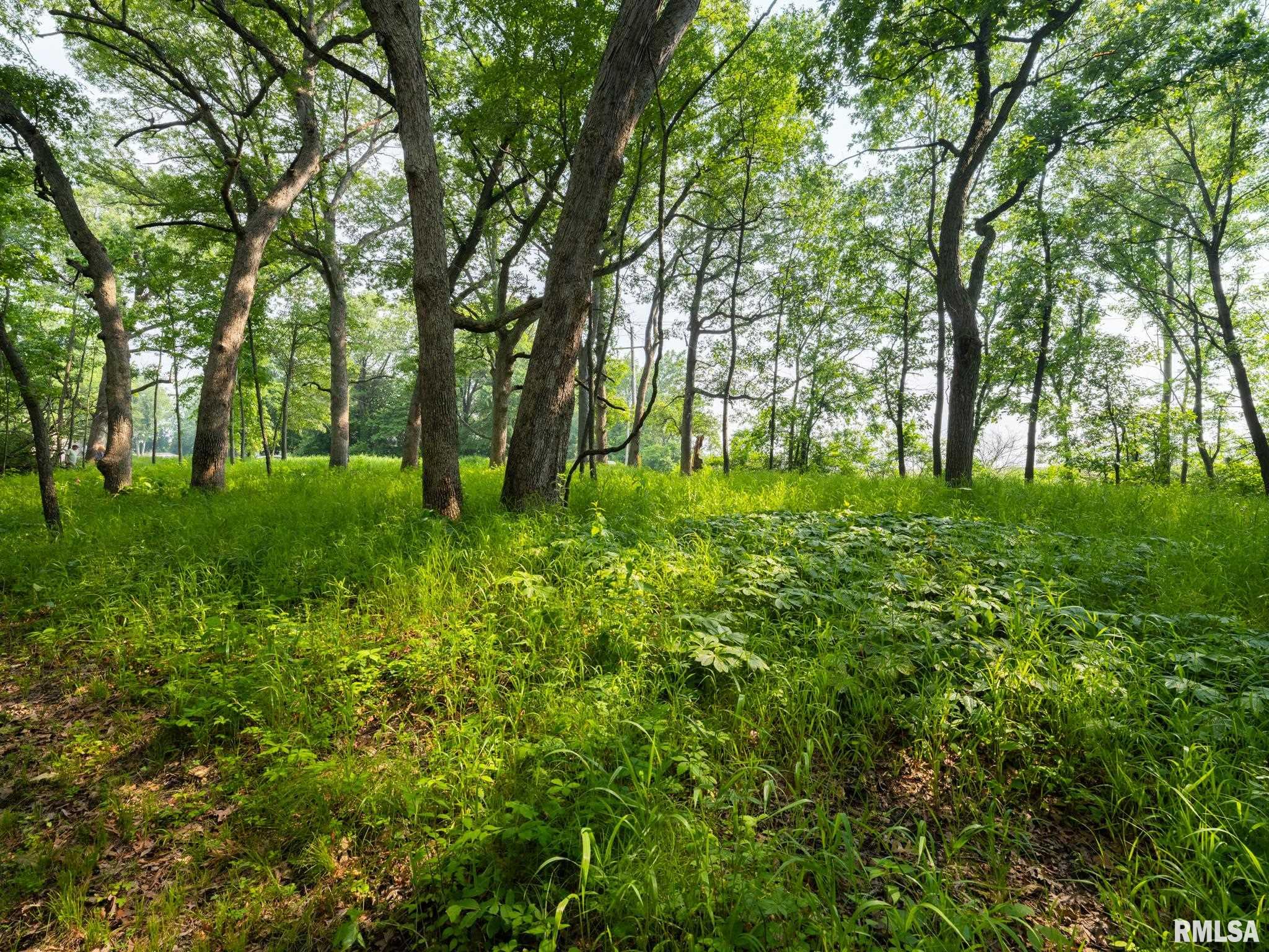 3041 Zion Oaks Road, Pekin, Illinois image 16