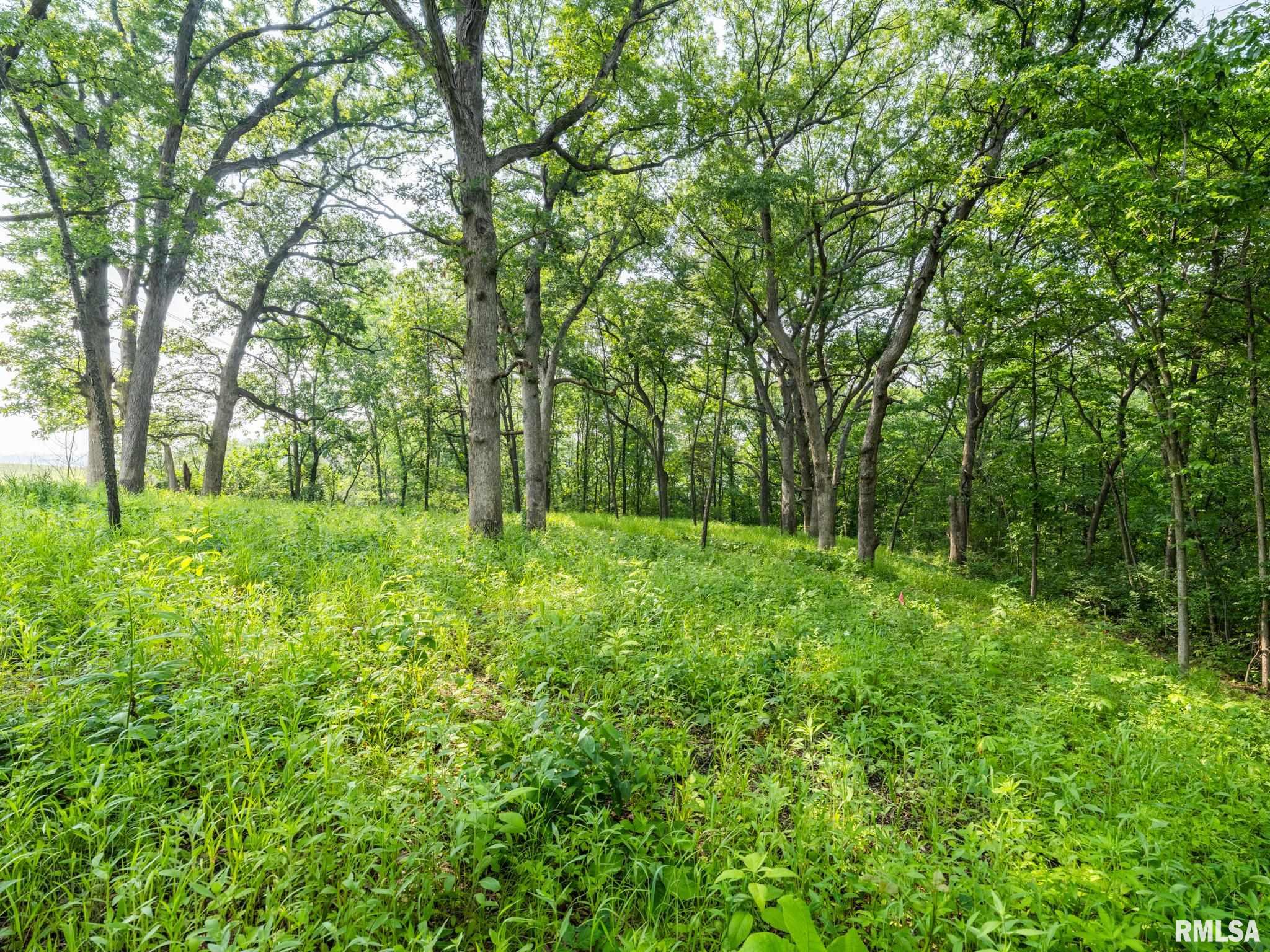 3041 Zion Oaks Road, Pekin, Illinois image 13